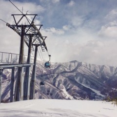 【お題日記】来月の楽しみな予定は？