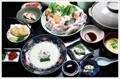 【お題日記】フグ食べたことある？