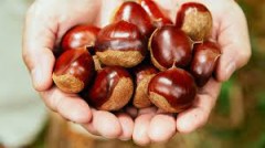 【お題日記】寝起きはいい？悪い？