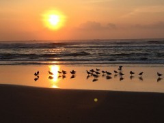 今のアナタの髪形は？