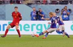 日本vsドイツ戦見た？