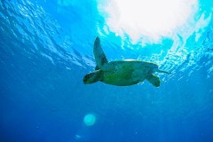 好きな都道府県