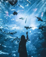 夏休みの予定はもぅ立てた？