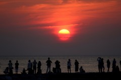 自転車保険入ってる？