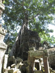 【お題日記】チャレンジしたい「お一人様」は？