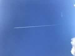 良い出会いがありますように