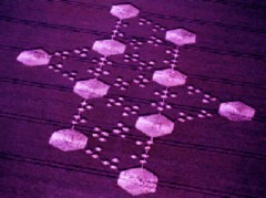 保育器の中で(6)