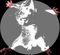 保育器の中で(9)