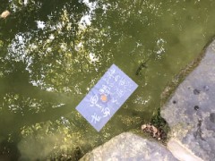 寒いとだれかとくっつきたくなるね