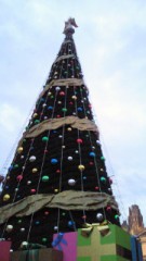 １１月も半ばになっちゃいました～