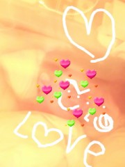 ２０１２年の予定