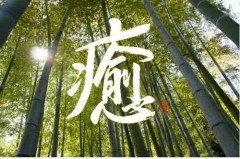 癒