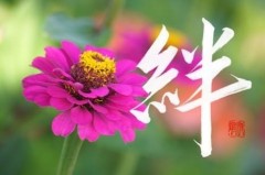 本日の書作品　絆