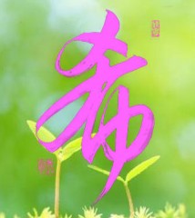 本日の書作品は　希