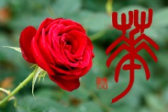華