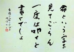 命という字を　見てごらん