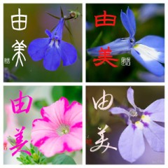 誕生花に名前をコラボ
