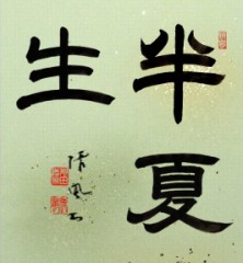 半夏生