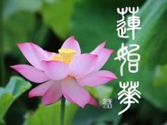 蓮始華（はすはじめてひらく）