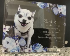 愛犬なるとのメモリアルパネル