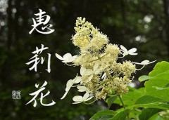 依頼文字制作