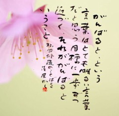 がんばる　　松岡修造の言葉より