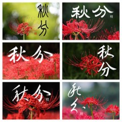 秋分