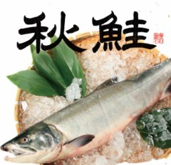 秋鮭