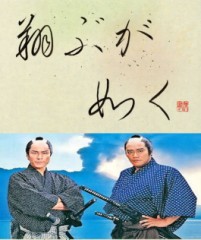 翔ぶが如く