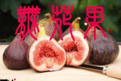 無花果