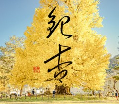 銀杏