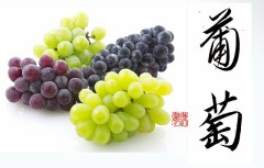 葡萄