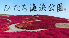 ひたち海浜公園