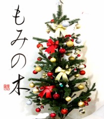 もみの木