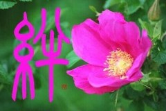 絆