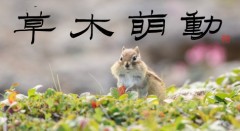 草木萌動②