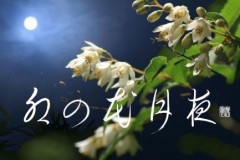卯の花月夜