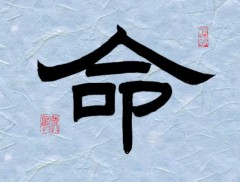 【命】