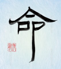 【命】③