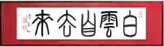 白雲自去来