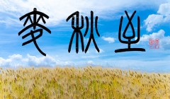 麦秋至