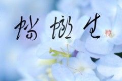 蟷螂生②