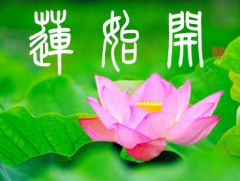 蓮始開