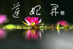 蓮始開②