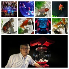 「夏のアートアクアリウム2024 華映え金魚祭」