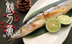 秋刀魚