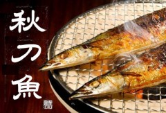 秋刀魚