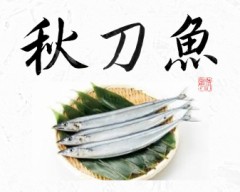 秋刀魚②