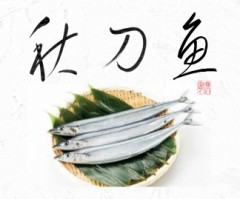 秋刀魚②
