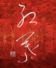 紅葉②